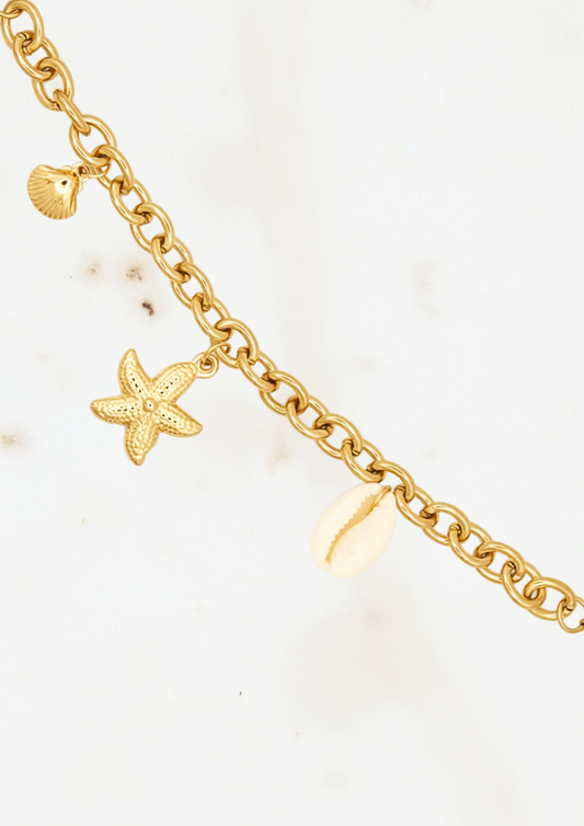 Cowrie Charm Bracelet